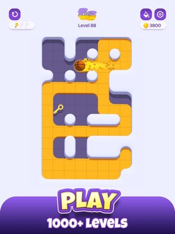 Color Maze Adventure