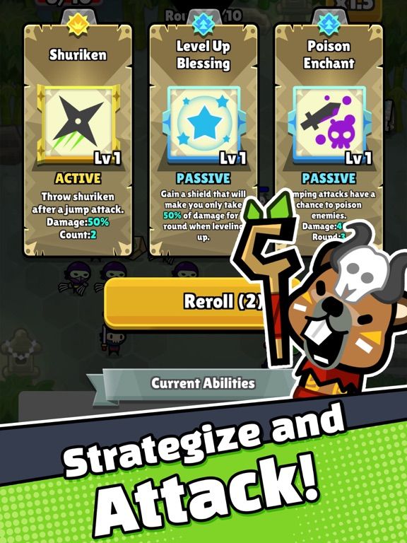 Combo Koala