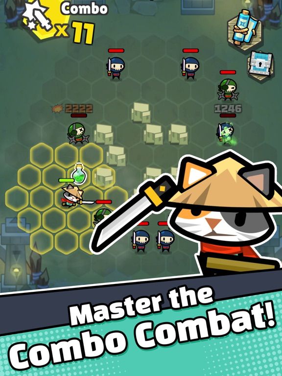 Combo Koala