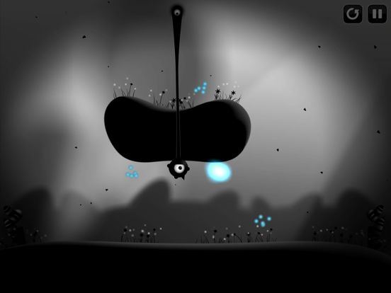 Contre Jour HD