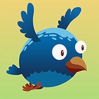 CrazyBird