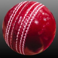 Cricket Game