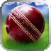 Cricket WorldCup Fever Deluxe