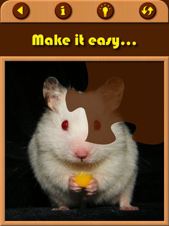 Cute Hamster Jigsaw Puzzles