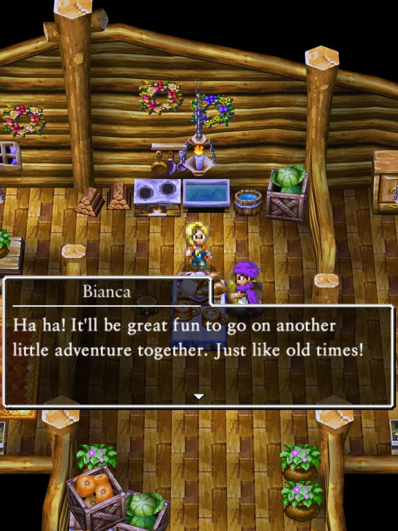 DRAGON QUEST V