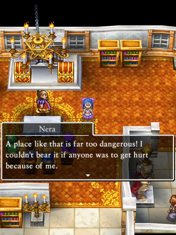 DRAGON QUEST V