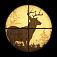 Deer Hunter 3D