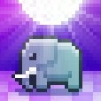 Disco Zoo