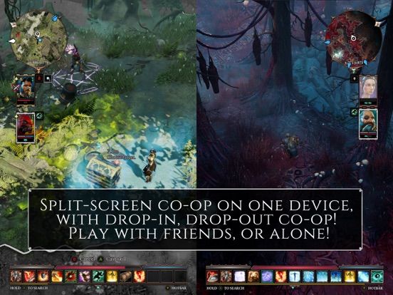 Divinity - Original Sin 2