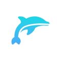 Dolphin Emulator - Basic