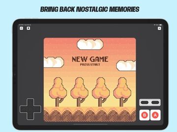 Dolphin Emulator - Basic