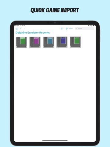 Dolphin Emulator - Basic