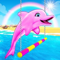Dolphin Show