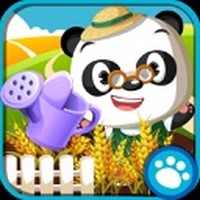 Dr. Panda Veggie Garden