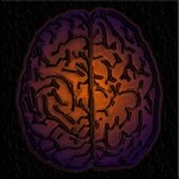 DualBrain+  Brain Training