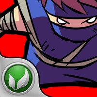 Elusive Ninja