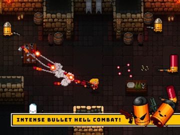 Enter the Gungeon