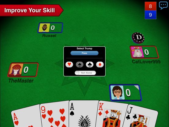 Euchre 3D