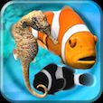 Fish Farm