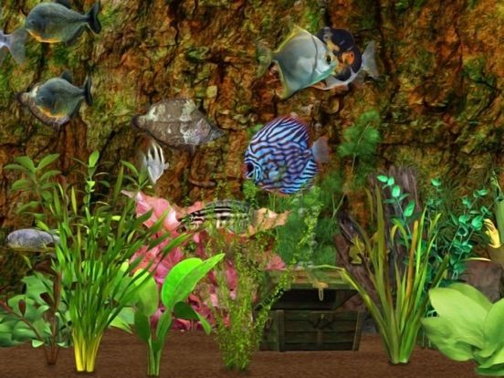 Fish Farm