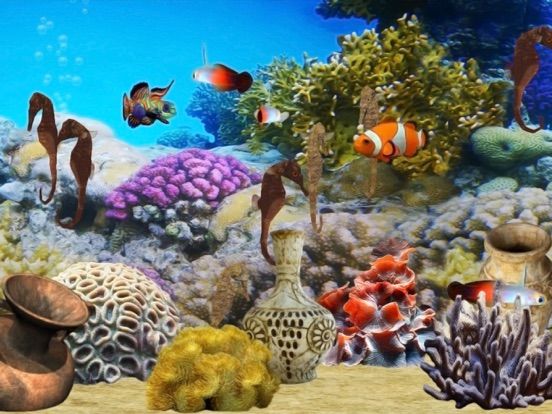 Fish Farm