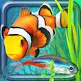 Fish Farm 2
