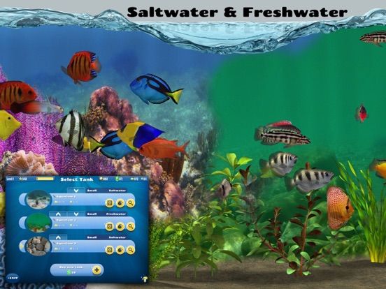 Fish Farm 2