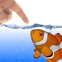 Fish Fingers! 3D Interactive Aquarium