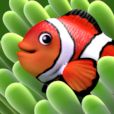 Fish Paradise