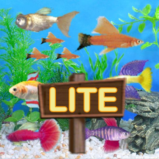 Fish Tycoon Lite
