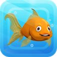 Fishies by PlayMesh