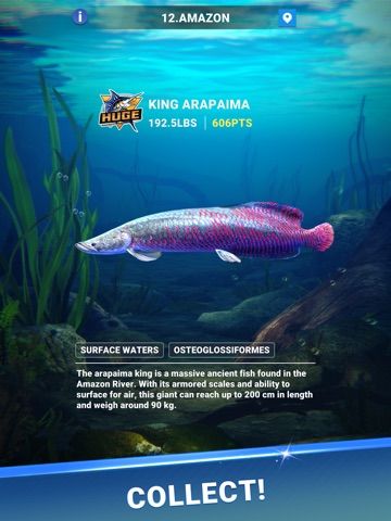 Fishing Travel