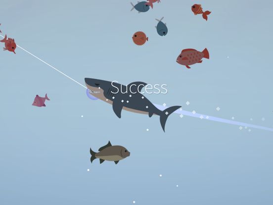 Fishing and Life