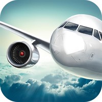 Flight Simulator 3D PRO