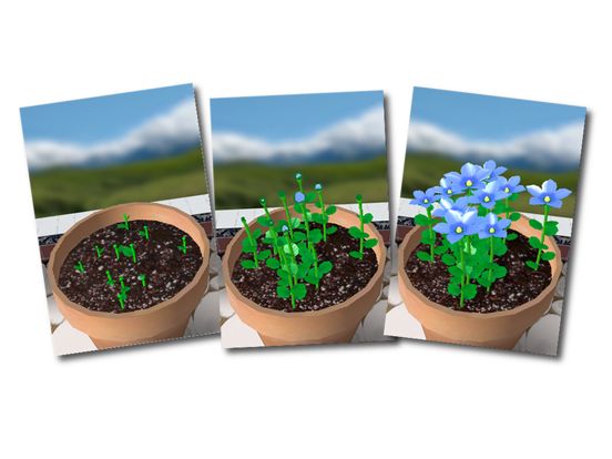 Flower Garden - Grow Flowers and Send Bouquets