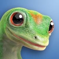 GEICO