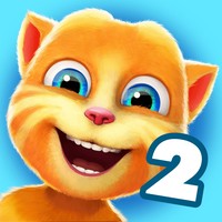 Ginger2