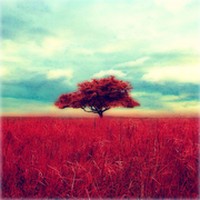 Gloomlogue