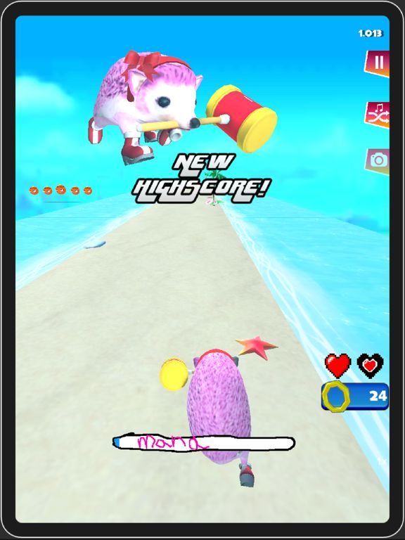 Go Sanic Goo! MLG