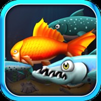 Goldfishing