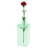 HAUNTED ROOM 2 - escape game -