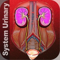 HDSystemUrinary