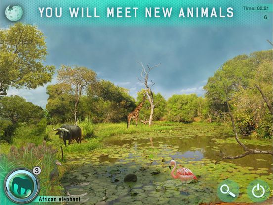 Hidden Animals: Seek and Find