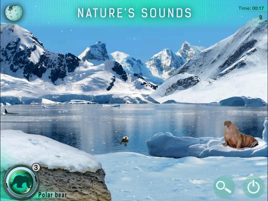 Hidden Animals: Seek and Find