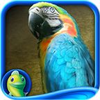 Hidden Expedition: Amazon