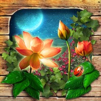 Hidden Object Mystery Garden