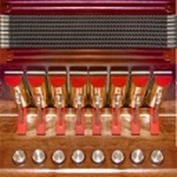 Hohner Cajun SqueezeBox