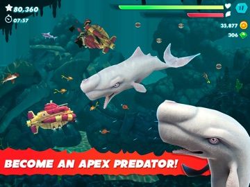 Hungry Shark Evolution
