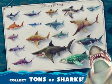 Hungry Shark World