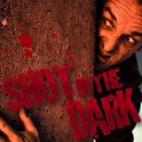 In the Dark